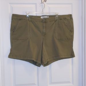 Torrid Olive Green Shorts, Womens Plus 30